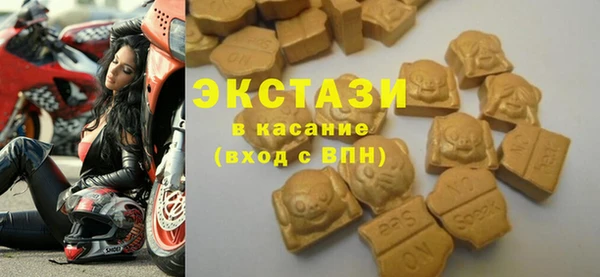 хмурый Пересвет