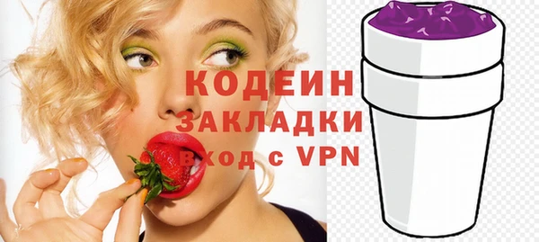 хмурый Пересвет