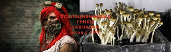 таблы Переславль-Залесский