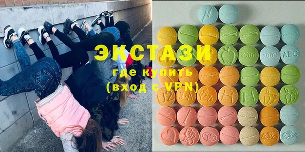 хмурый Пересвет