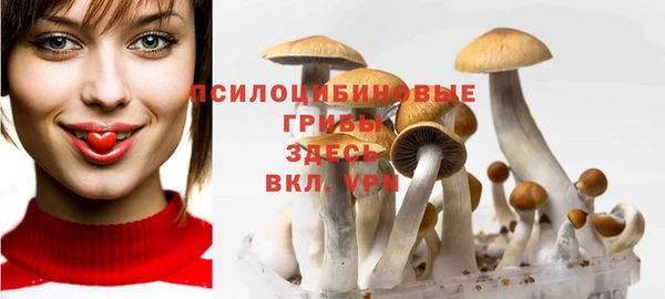 хмурый Пересвет