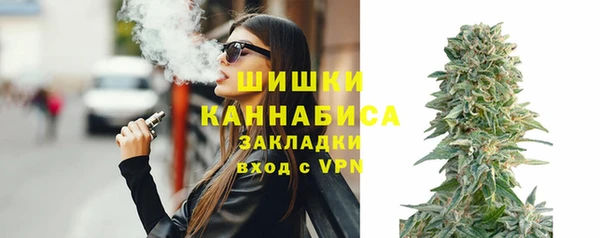дмт Пестово