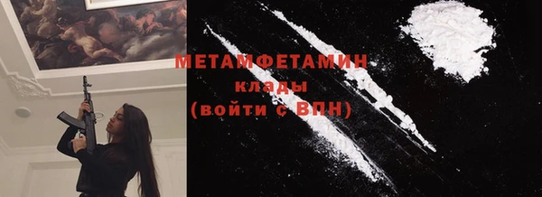 хмурый Пересвет