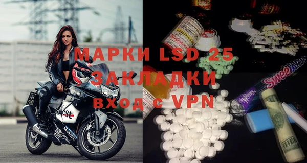 прущие грибы Протвино