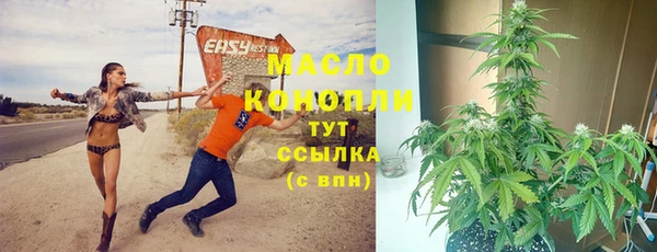 индика Пролетарск