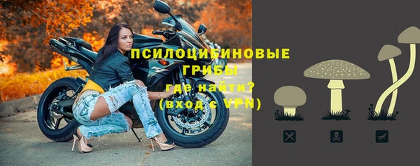 молекула духа Баксан